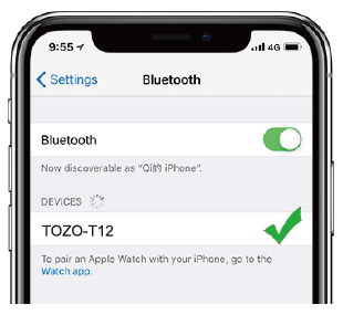 TOZO T12 Pro True Wireless Earbuds User Manual
