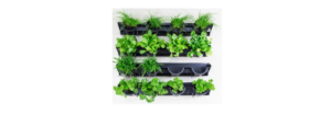 Holman-GW0001-Mini-Wall-Mounted-Planting-Kit-User-Guide-Feature-Image
